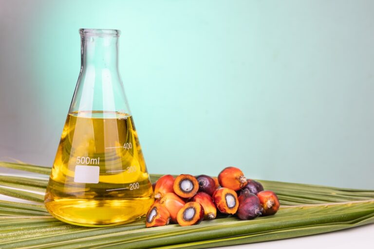 Oil palm fruits with biofuel in beaker in laboratory with green backgound